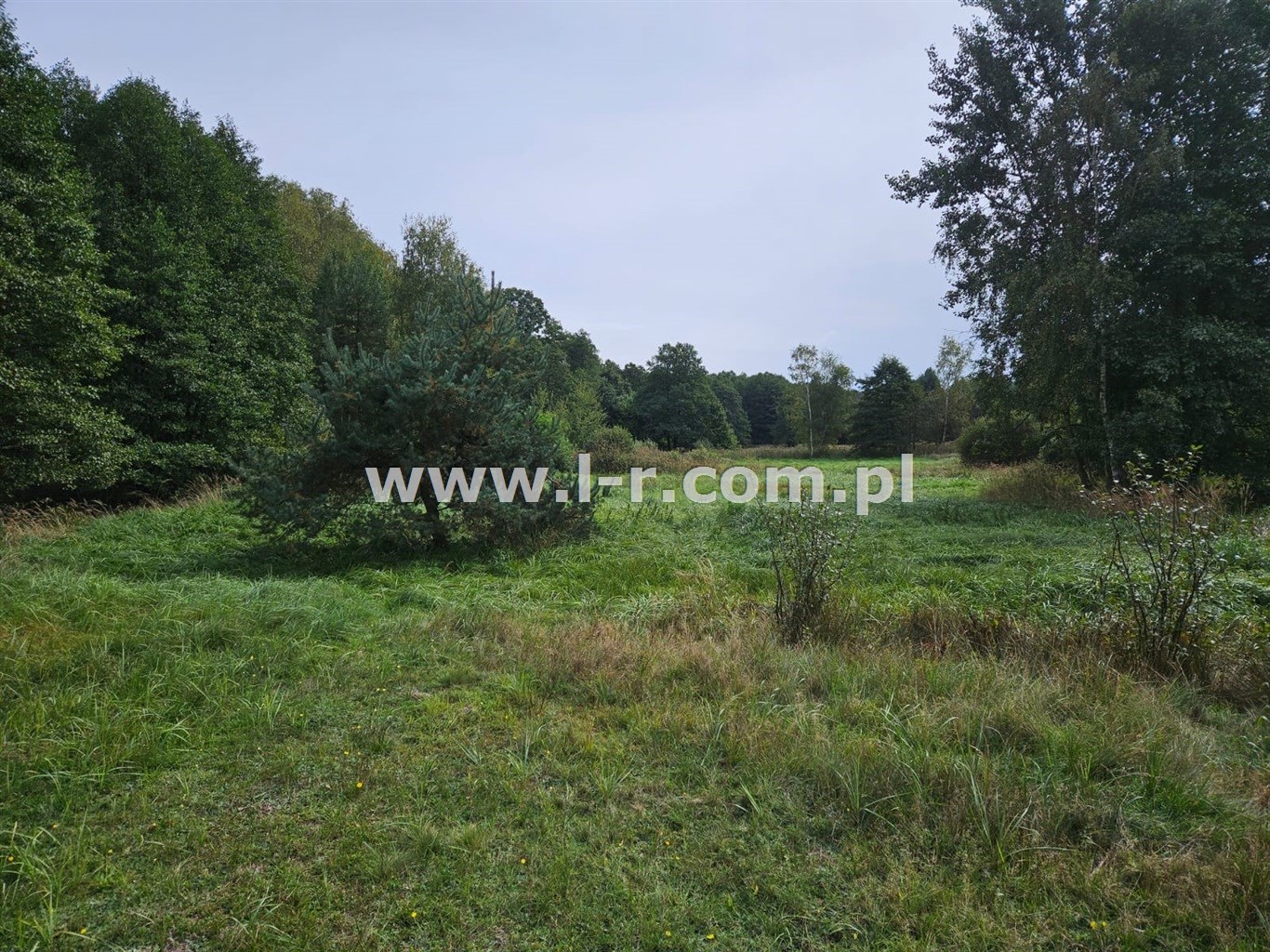 Działka 6820 m² — Łyski, Sumina - zdjecie 2