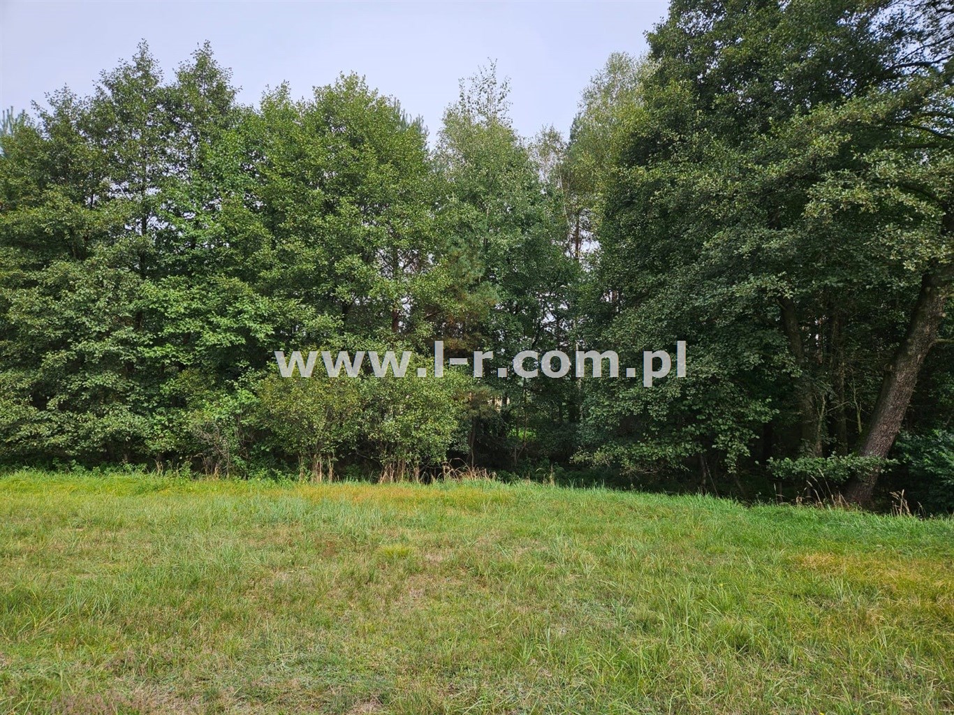 Działka 6820 m² — Łyski, Sumina - zdjecie 3