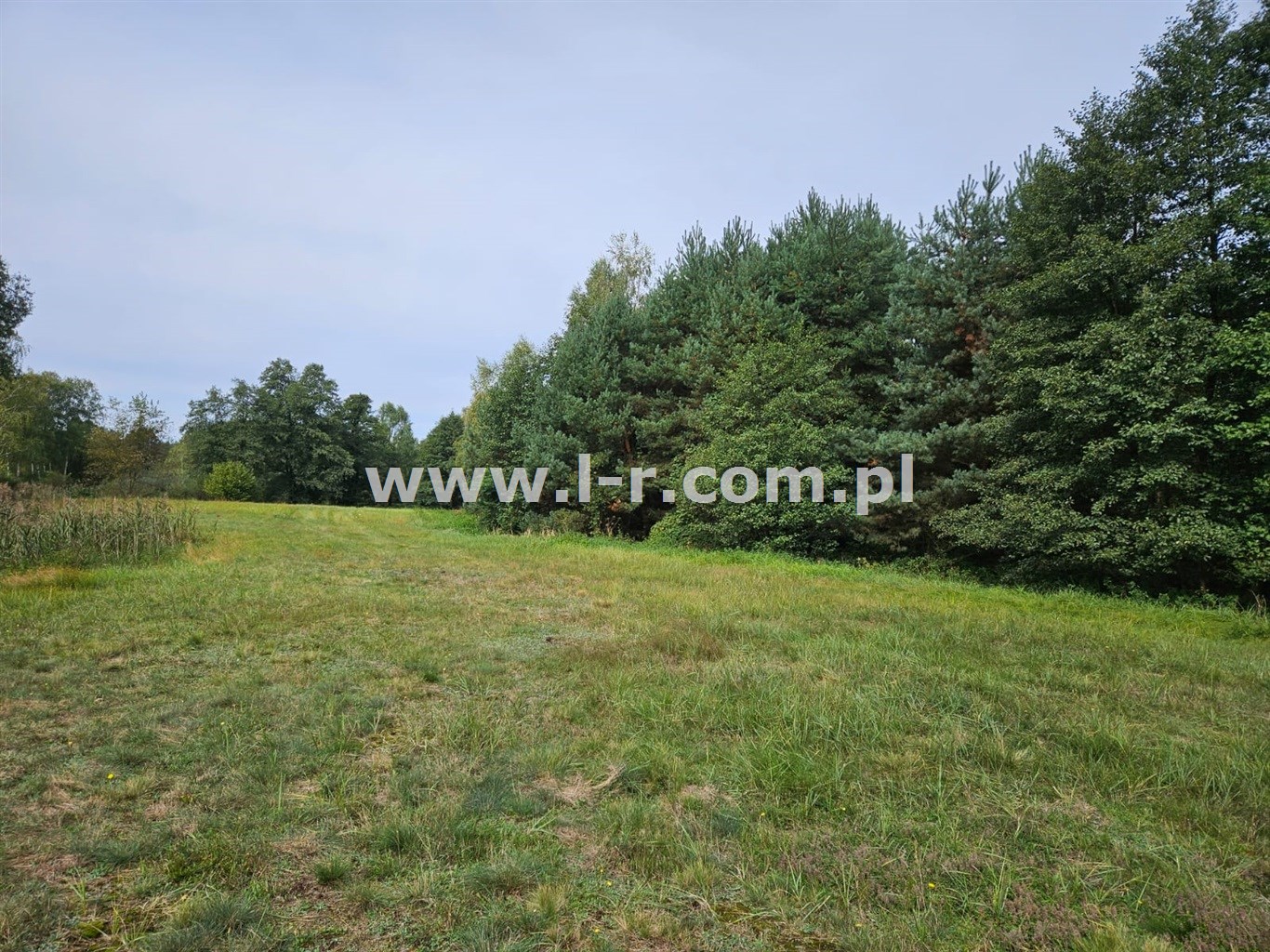 Działka 6820 m² — Łyski, Sumina - zdjecie 3