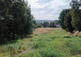 działka na sprzedaż - Godów, Łaziska