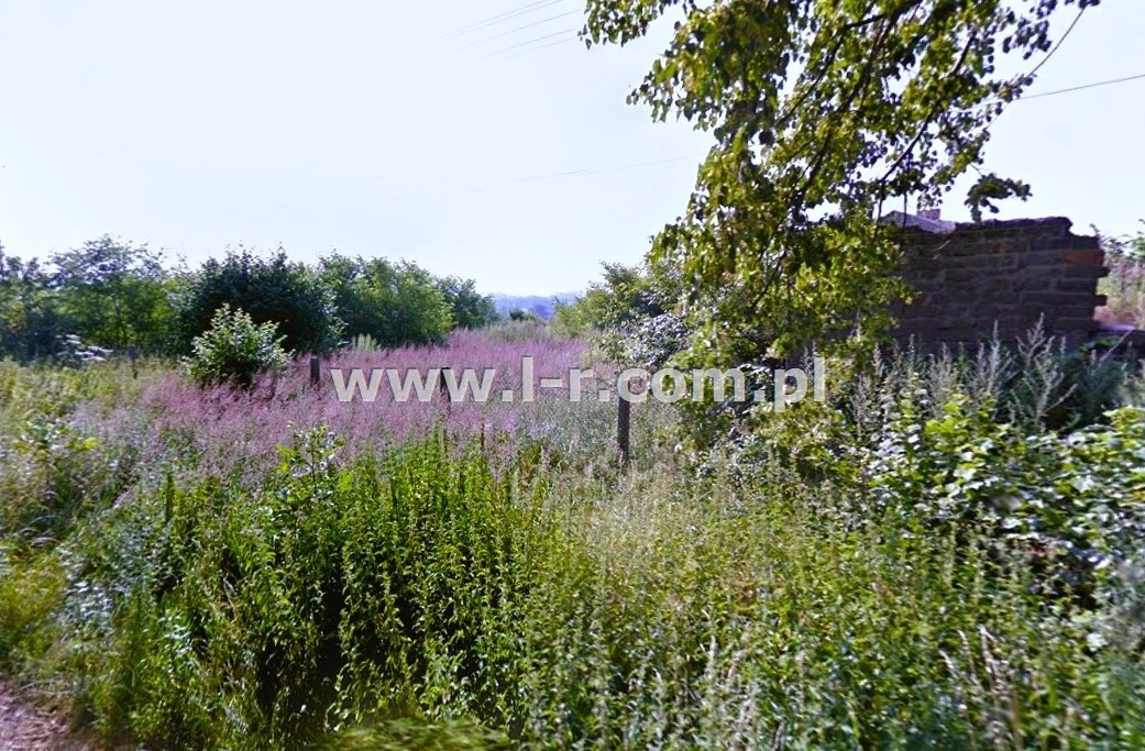 Działka 2385 m² — Gaszowice, Czernica - zdjecie 2