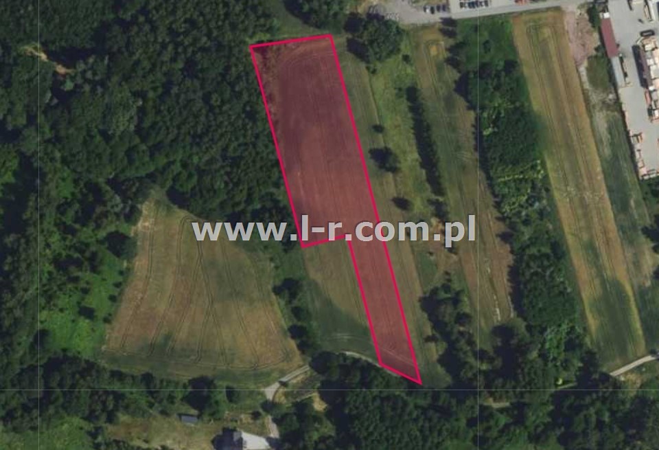 Działka 8094 m² — Gorzyce, Czyżowice - zdjecie 3