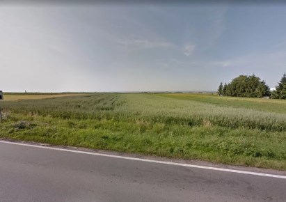 działka na sprzedaż - Pietrowice Wielkie, Cyprzanów