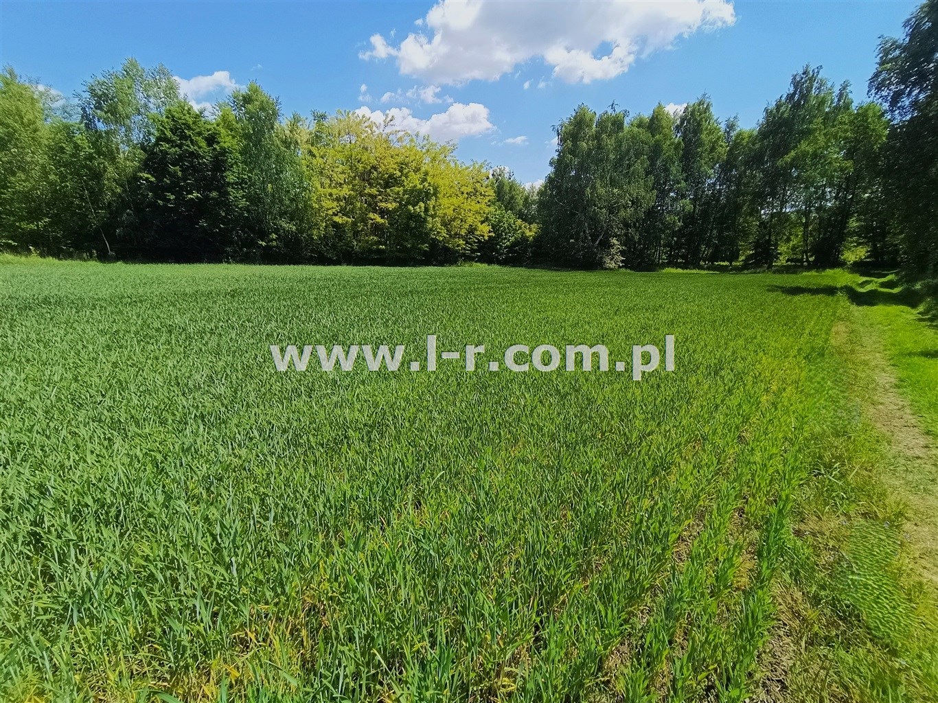 Działka 2940 m² — Gorzyce, Czyżowice - zdjecie 3