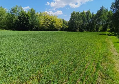 działka na sprzedaż - Gorzyce, Czyżowice