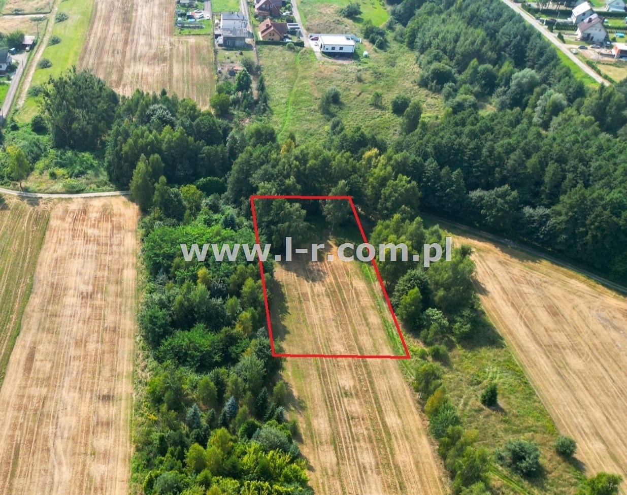 Działka 2940 m² — Gorzyce, Czyżowice - zdjecie 3
