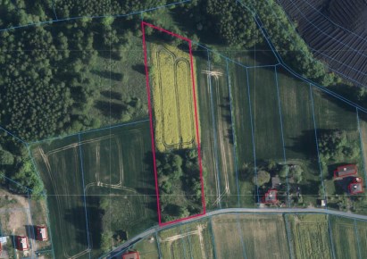 działka na sprzedaż - Mszana, Gogołowa