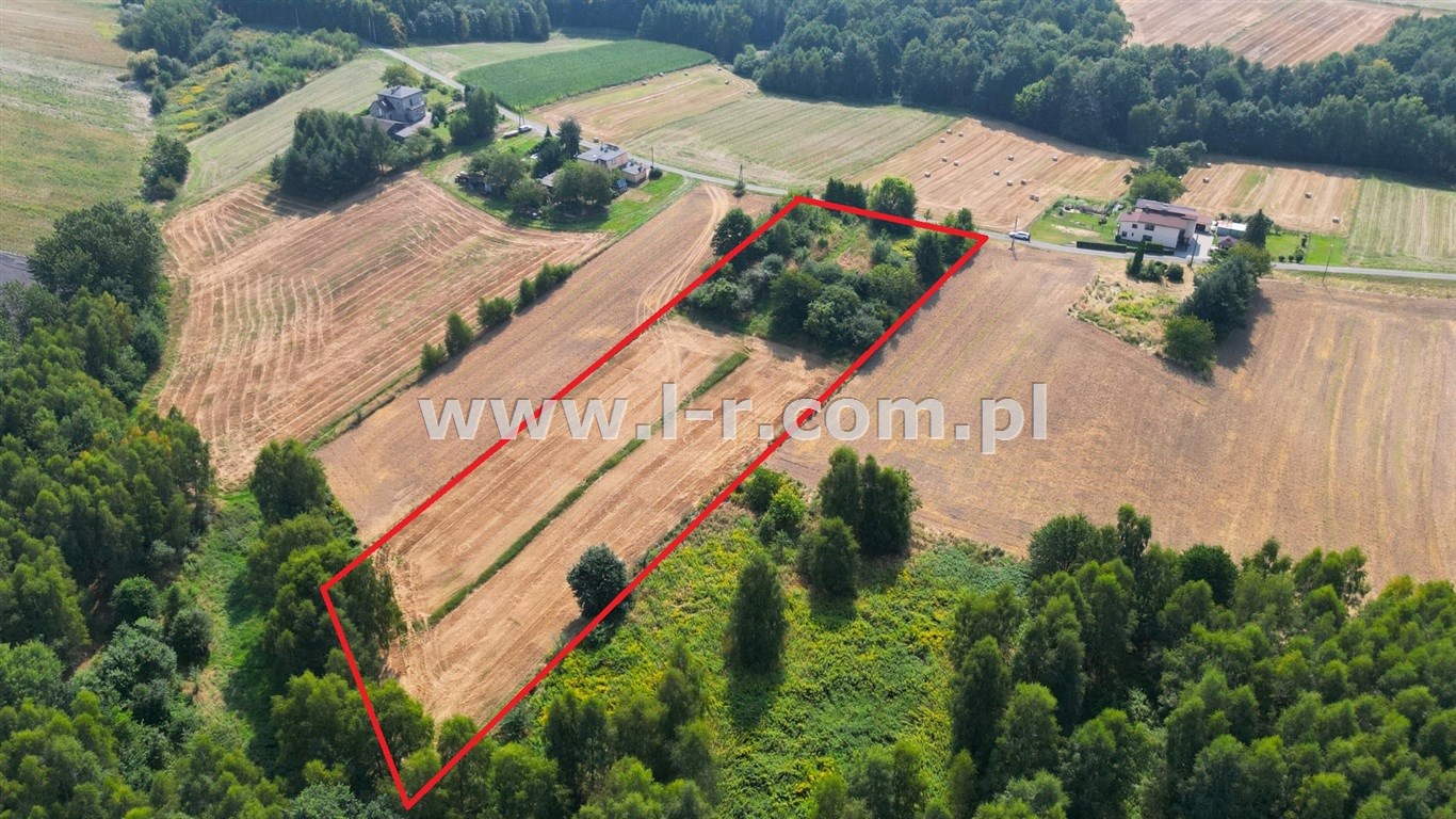 Działka 7524 m² — Mszana, Gogołowa - zdjecie 3