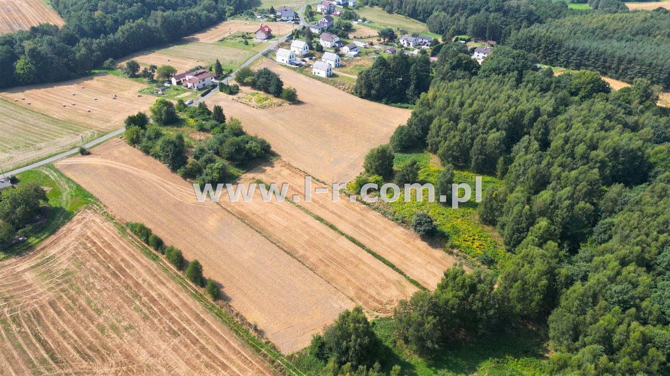 Działka 7524 m² — Mszana, Gogołowa - zdjecie 3