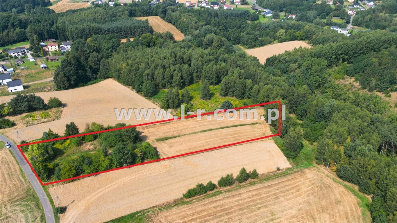 Działka 7524 m² — Mszana, Gogołowa - zdjecie 2