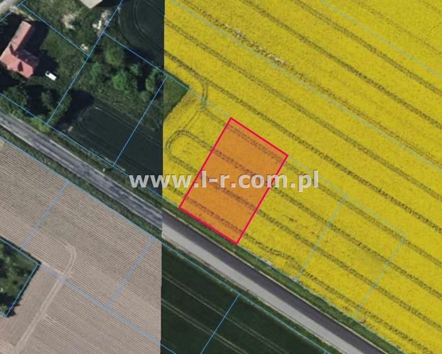 Działka 1214 m² — Pietrowice Wielkie, Cyprzanów - zdjecie 3