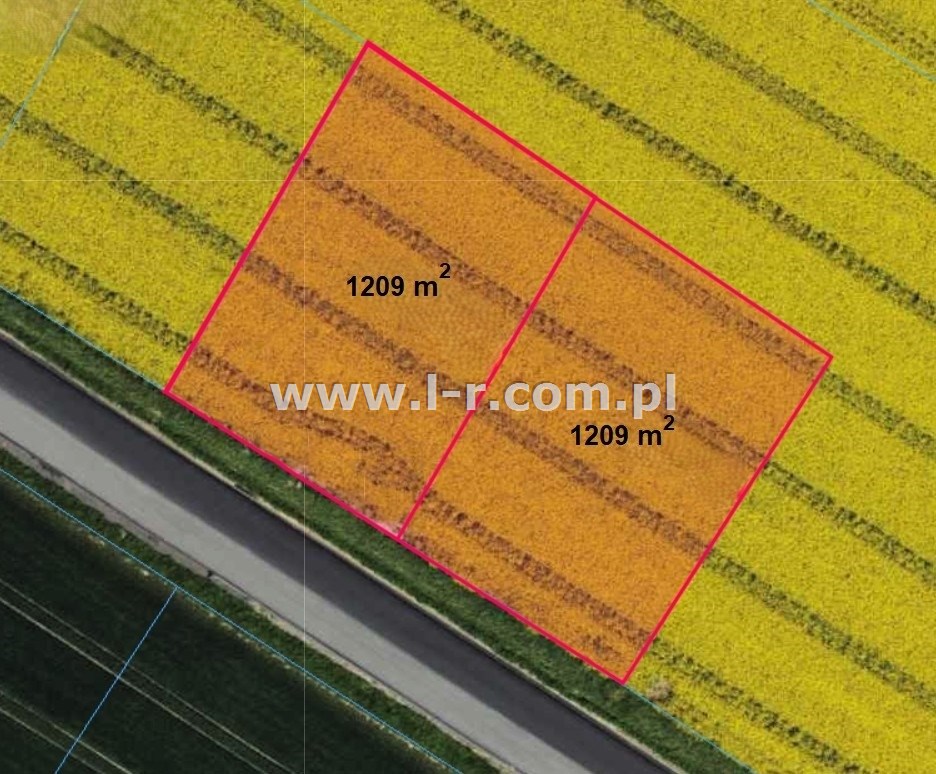 Działka 1209 m² — Pietrowice Wielkie, Cyprzanów - zdjecie 2