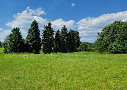 działka na sprzedaż - Świerklany, Świerklany Dolne